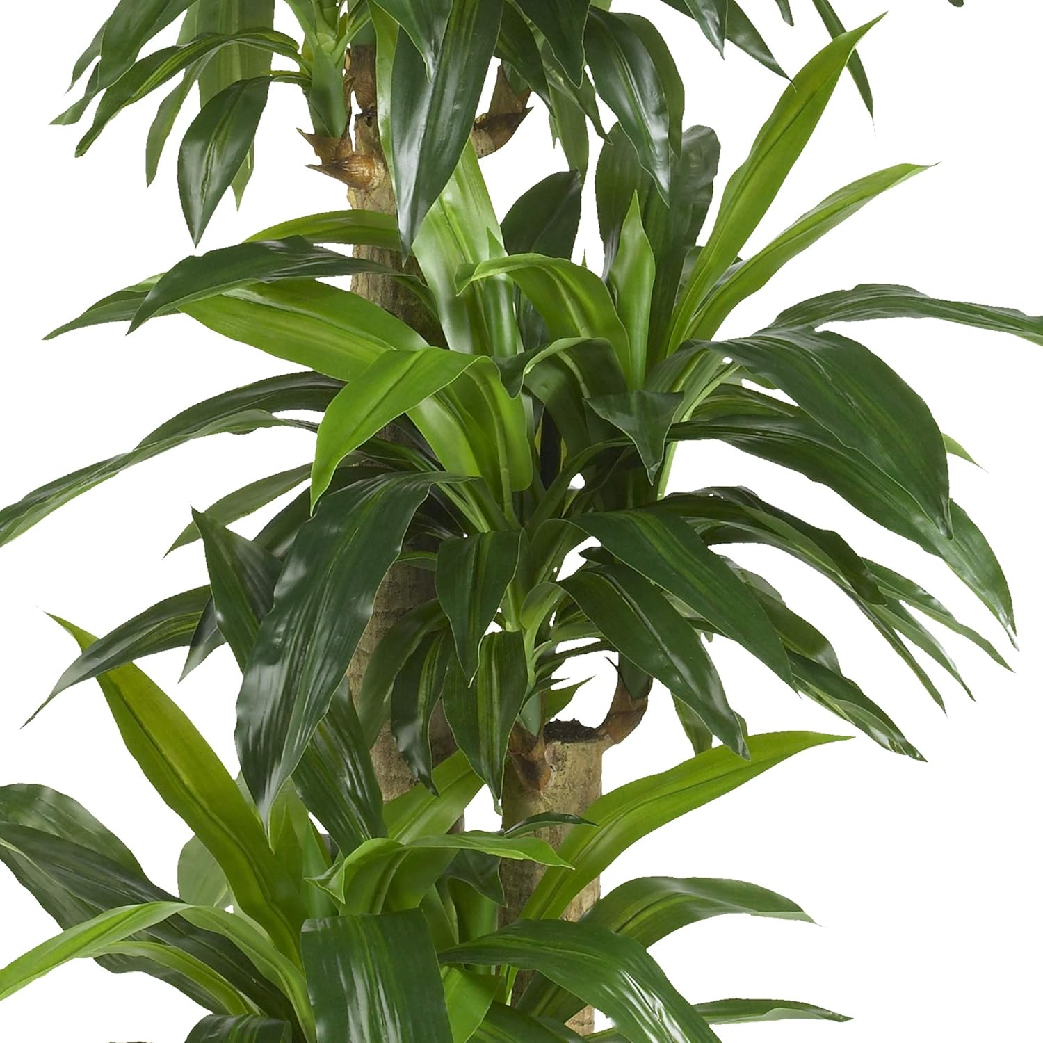 Nearly Natural 62 Inch Artificial Corn Stalk Dracaena Plant