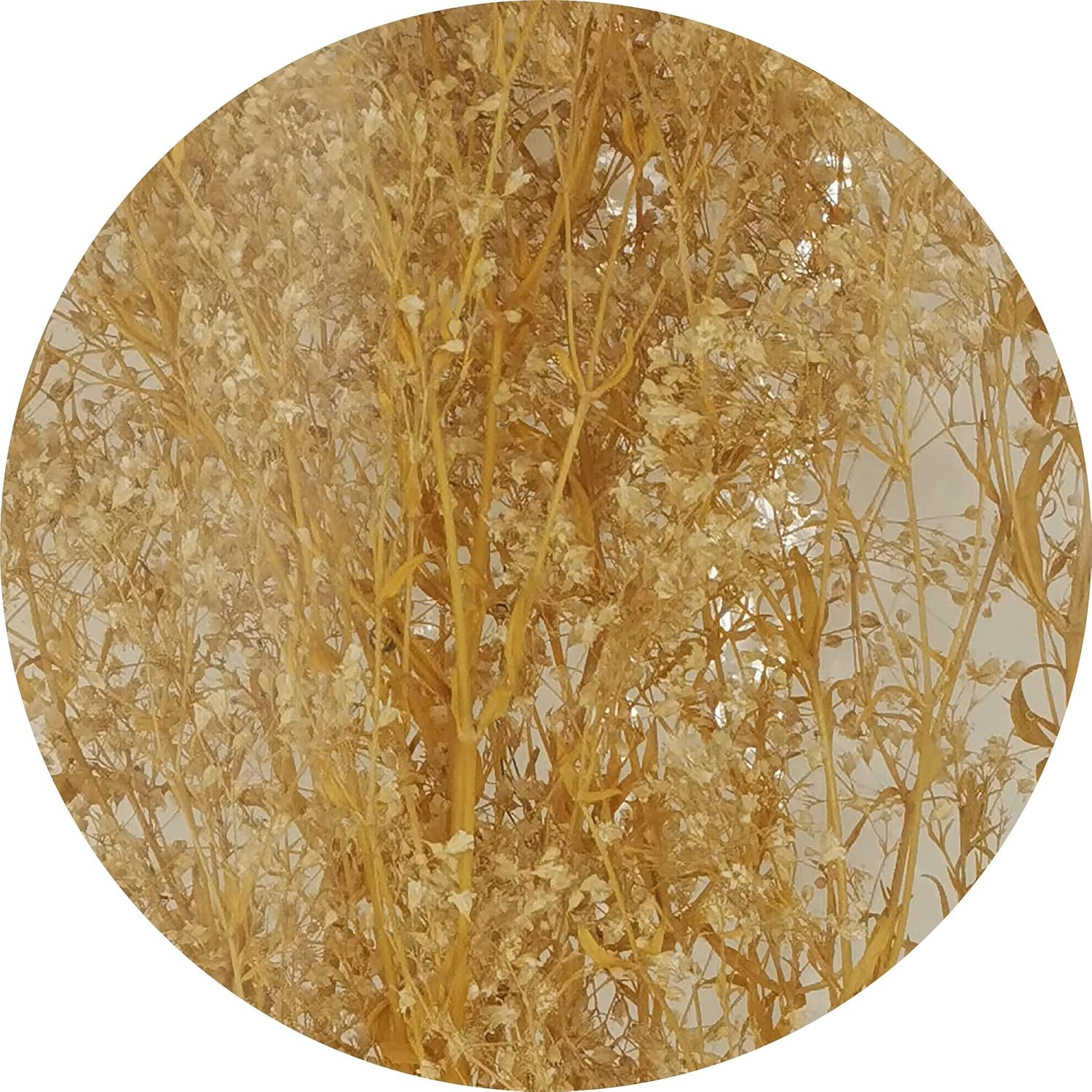 CalCastle Craft Dried Flower Babys Breath Bouquet 27 Inch 2oz Bundle
