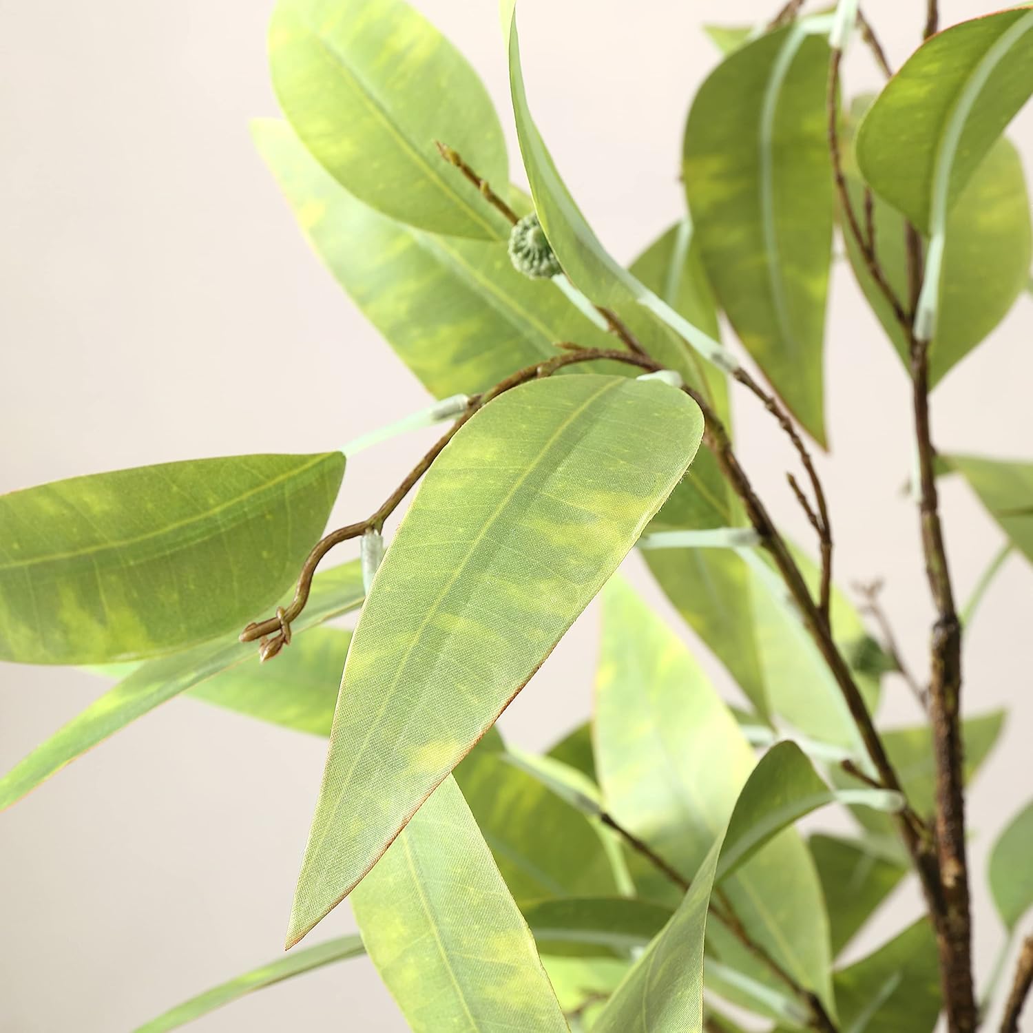 SAFAVIEH 50 Inch Artificial Eucalyptus Tree with Cement Pot