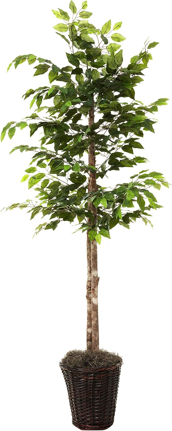 Vickerman 6-Foot Artificial Ficus Tree in Brown Rattan Basket