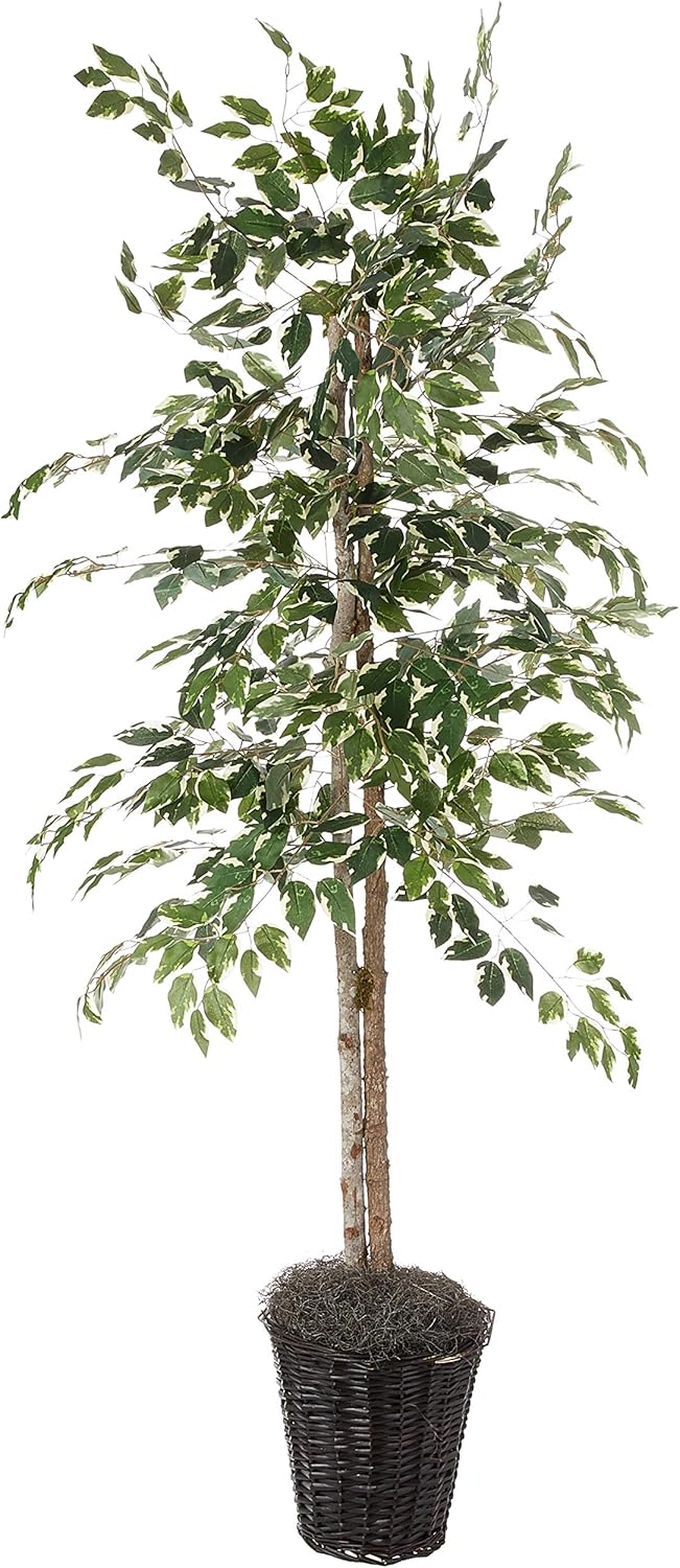 Vickerman 6-Foot Artificial Variegated Ficus Tree in Decorative Container