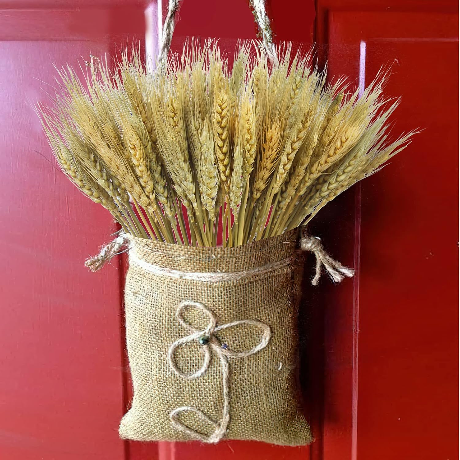 CISDUEO 100 Pcs Natural Dried Wheat Stalks Bundle