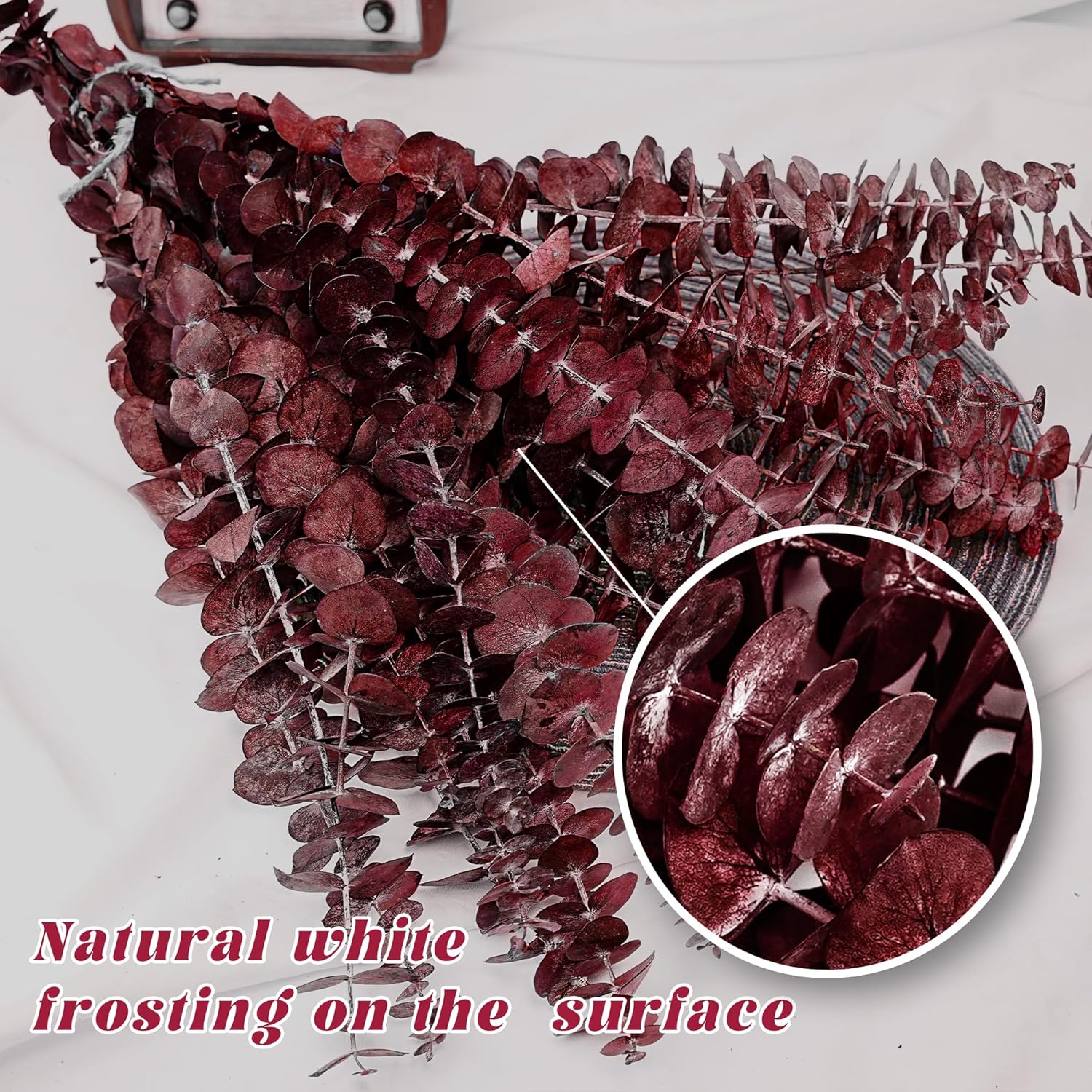 Kocat 20PCS Burgundy Eucalyptus Stems - Dried Preserved Real