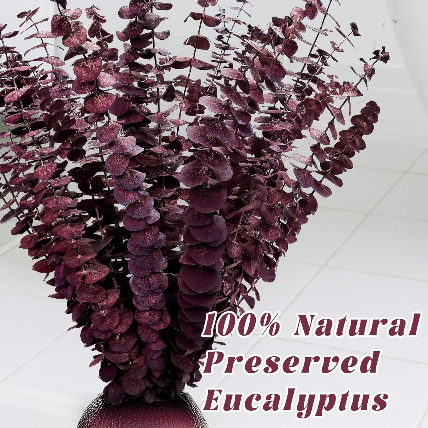 Kocat 20PCS Burgundy Eucalyptus Stems - Dried Preserved Real