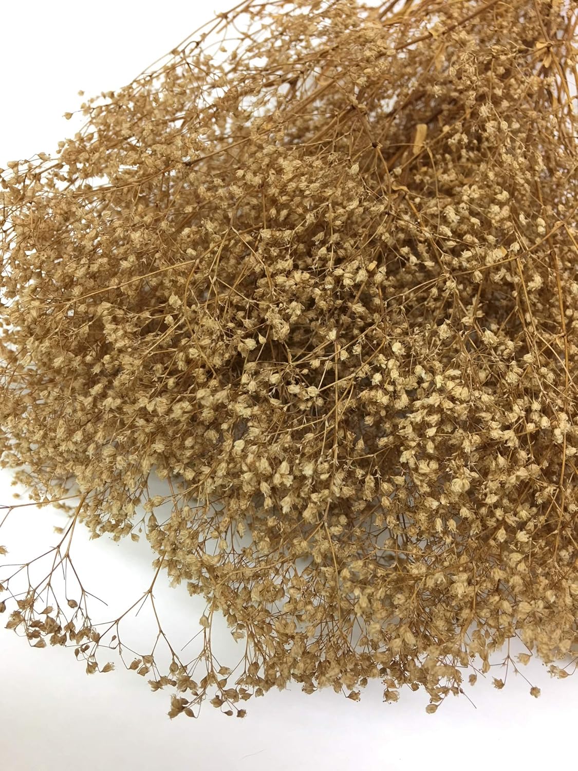 CalCastle Craft Dried Flower Babys Breath Bouquet 27 Inch 2oz Bundle