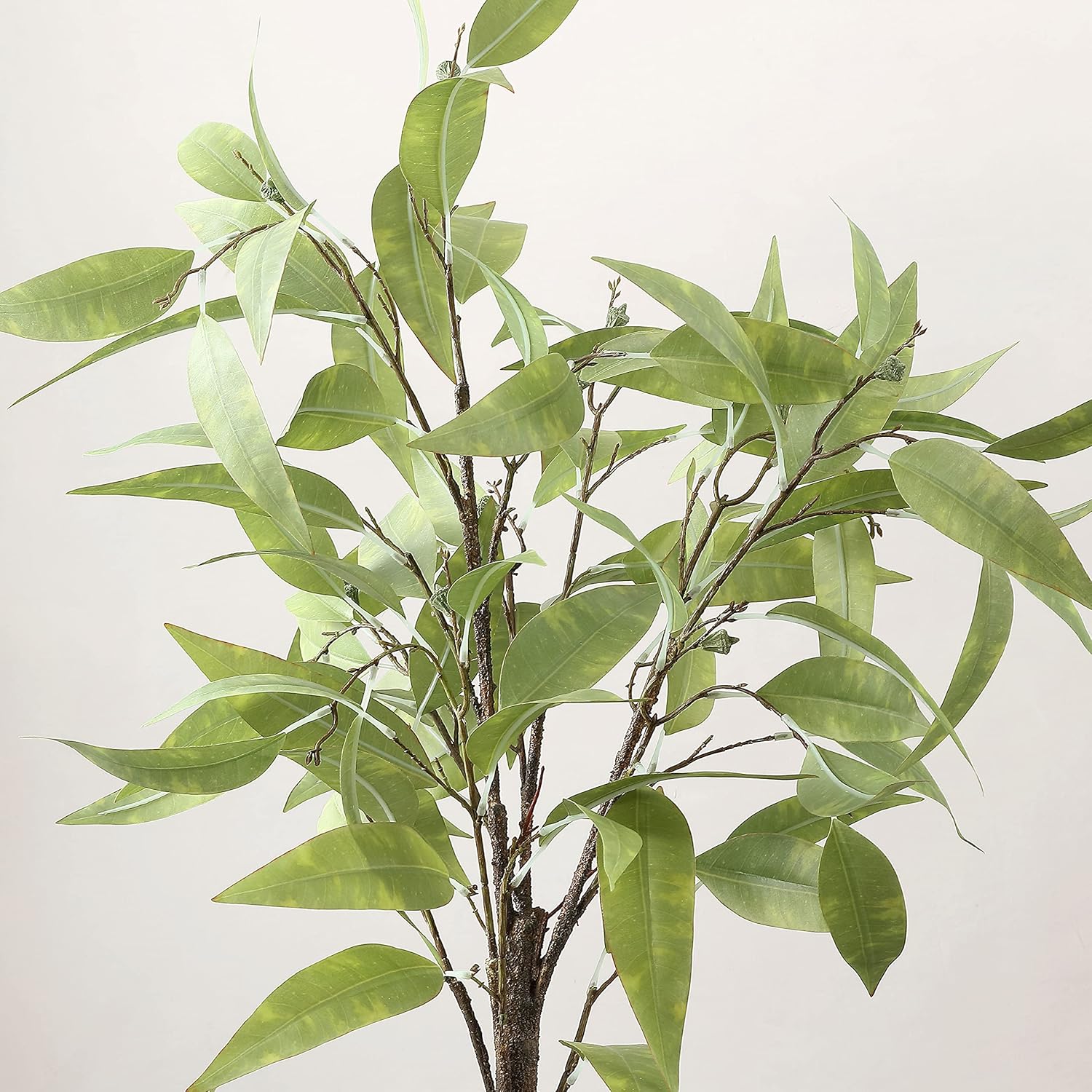 SAFAVIEH 50 Inch Artificial Eucalyptus Tree with Cement Pot