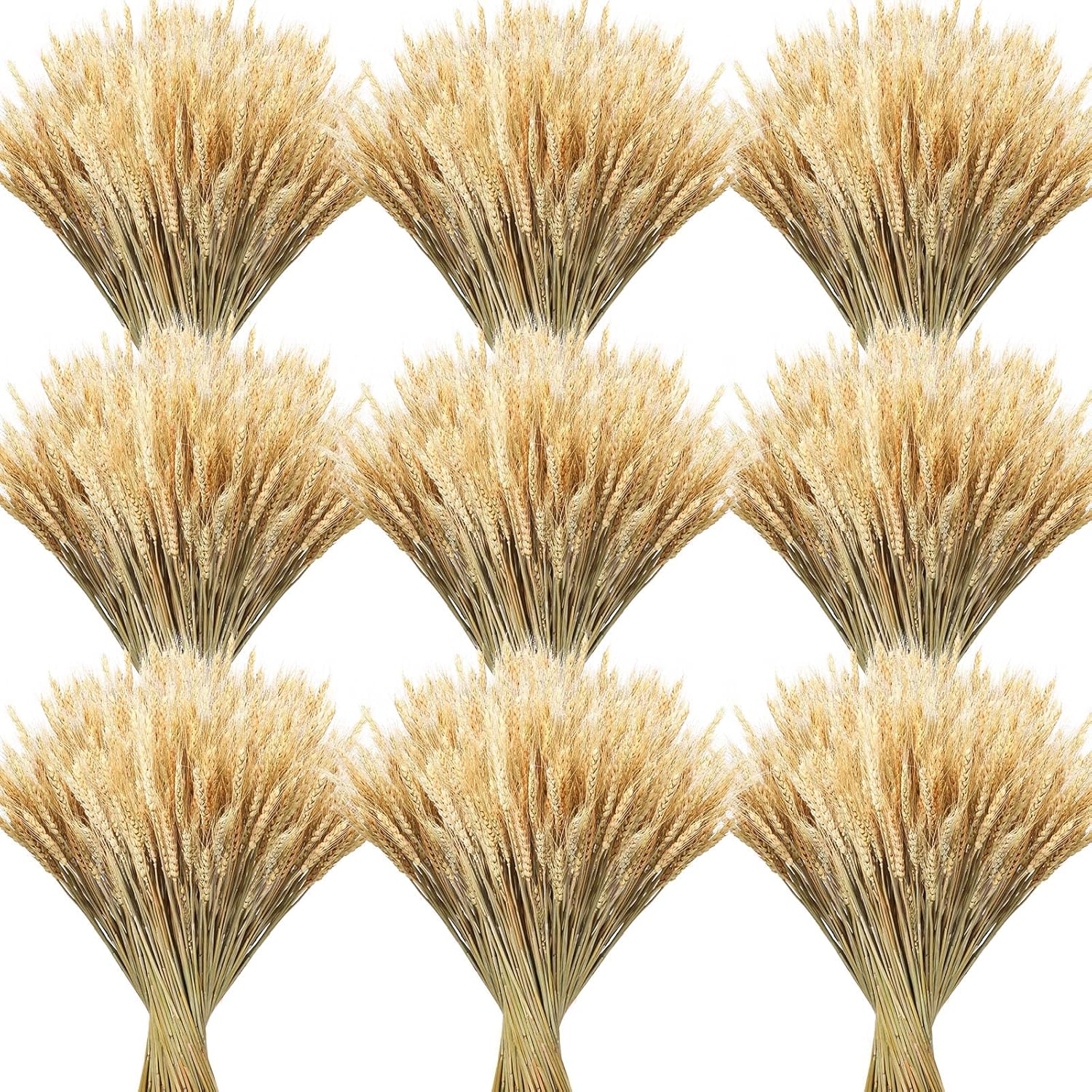 Geosar 600 Dried Wheat Stalks Decor Bundle